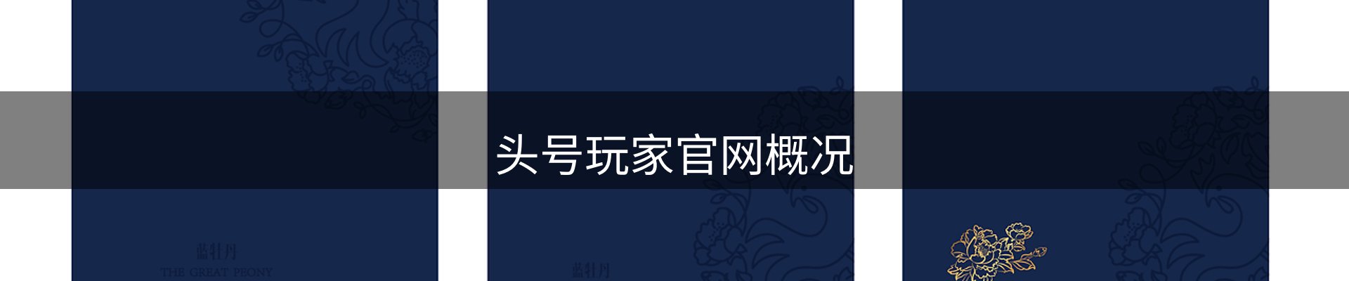 头号玩家官网概况